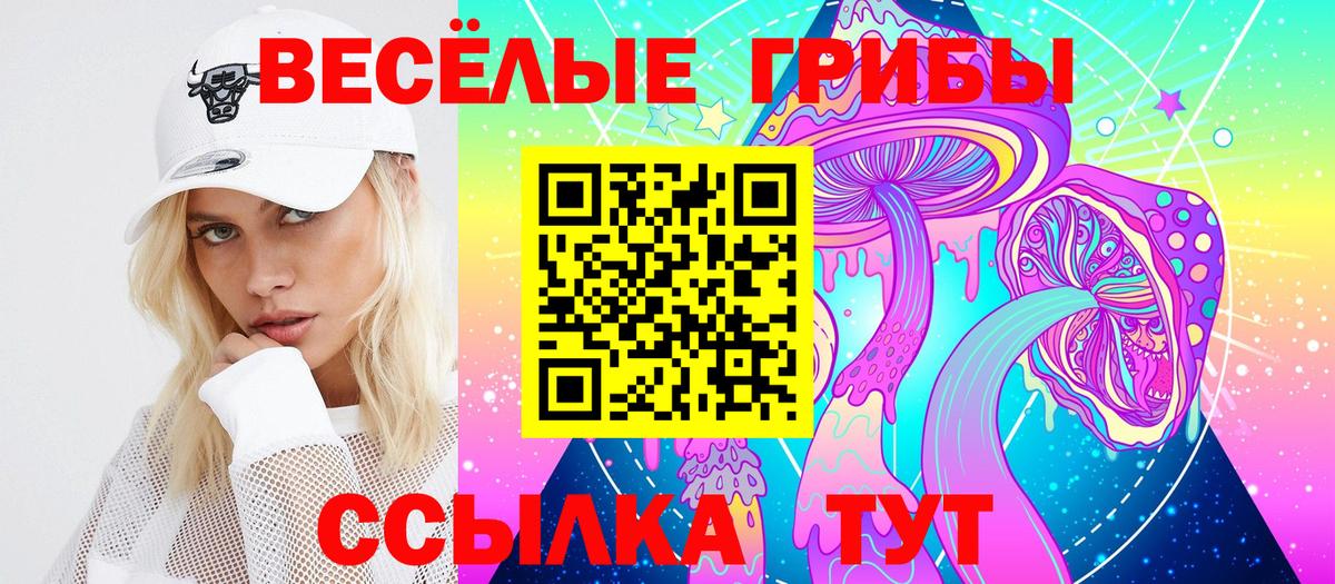 Галлюциногенные грибы MAGIC MUSHROOMS  Вход с VPN  Ейск 